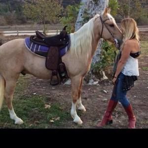 Meet your Posher, Debbie